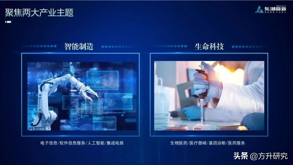 东湖高新杨涛,东湖高新集团产业园