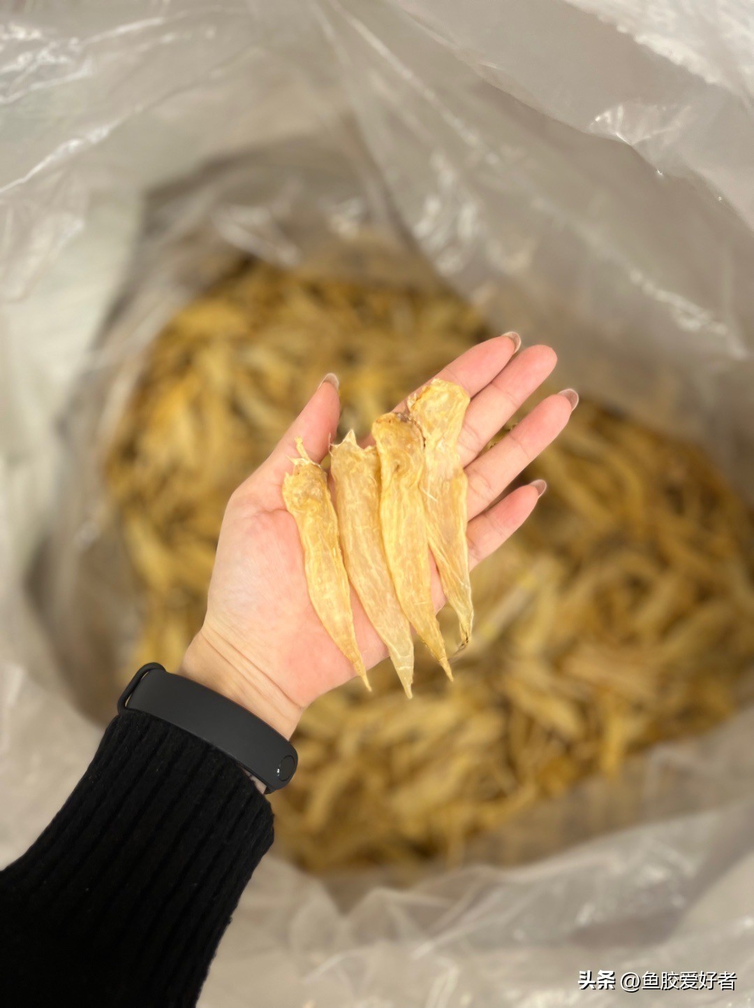 鱼胶是否智商税,鱼胶到底值不值得买