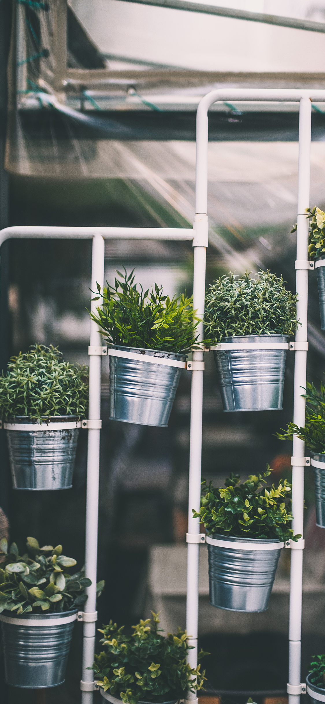 2023年手机壁纸,2023年最新款超清手机壁纸