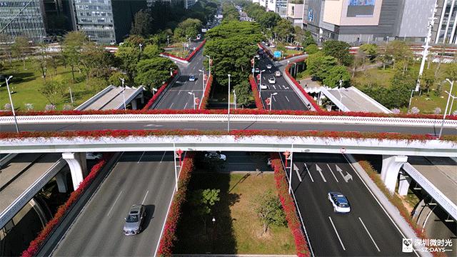 现在年轻人在深圳市创业,年轻人在深圳创业做什么好