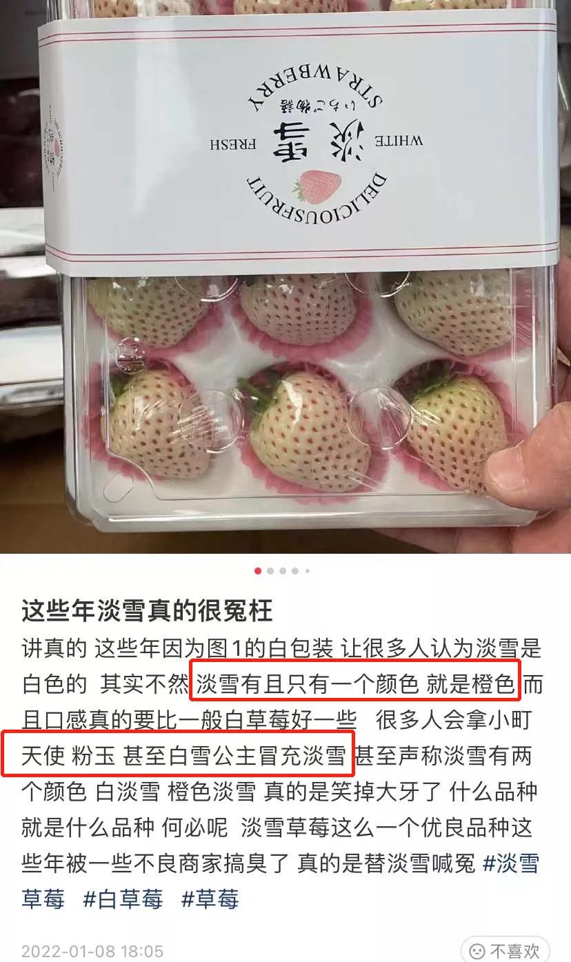 吃最贵的日本草莓,你吃过吗150元一斤的菠萝味草莓