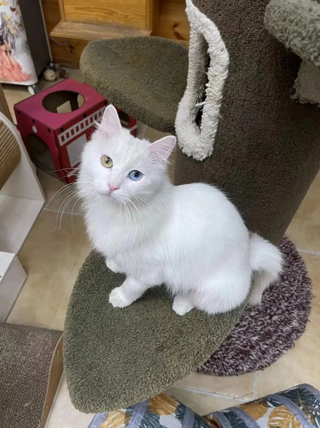 赵明明：上班摸鱼，是我的梦想!