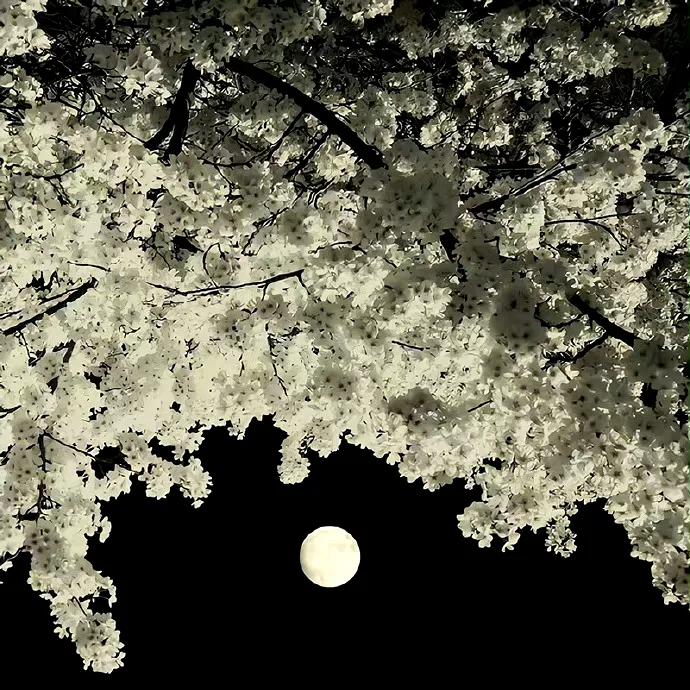 背景图一组个性,背景图一组精选朋友圈背景图