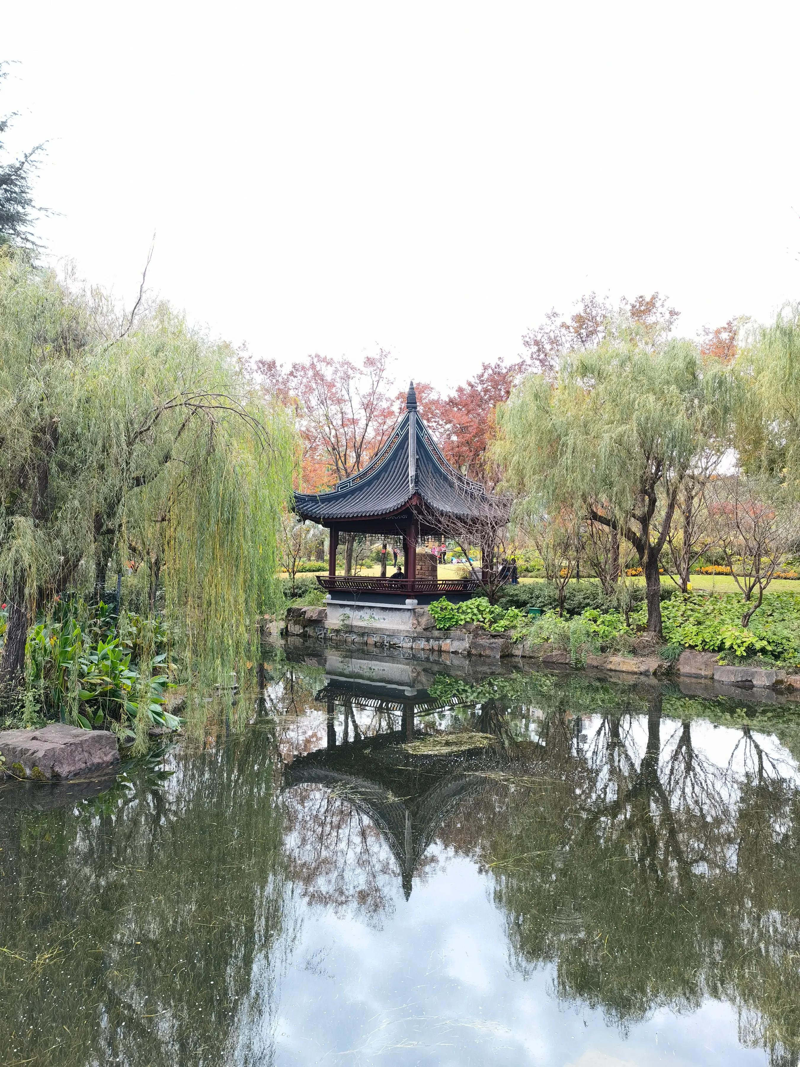 手拍世界近期作品,手拍世界完整版视频