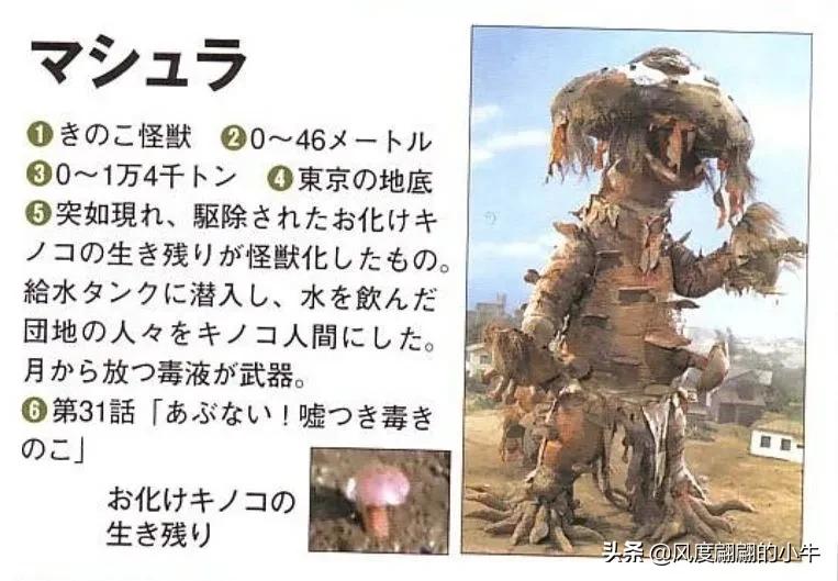 泰罗奥特曼tv怪兽图鉴,泰罗奥特曼tv版剧场