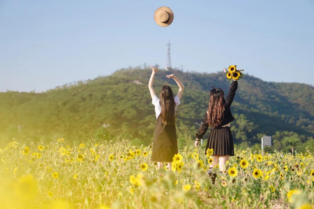 为什么说与人相处要懂人情世故,待人的最重要法则