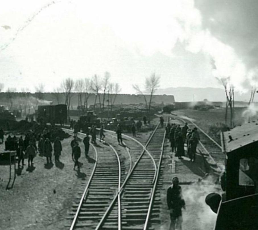 女飞贼被抓,女飞贼宋莲萍拜高僧为师轻功了得
