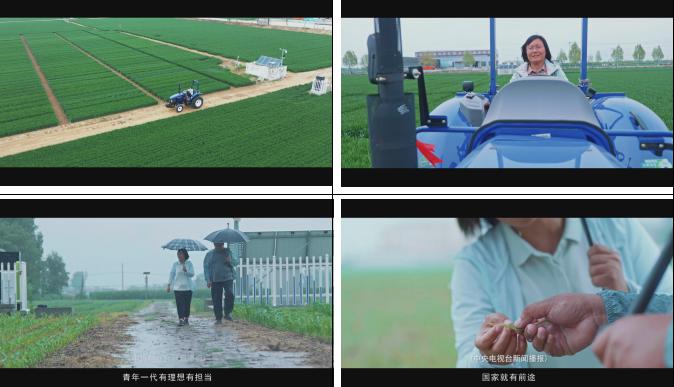 热门三农视频文案素材,三农类乡村生活视频文案