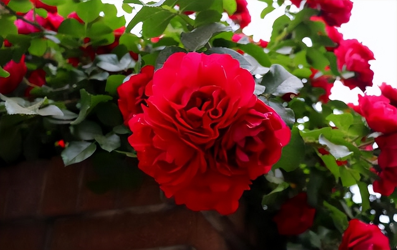 云南绝美十大仙境,云南发现真正的世外桃源