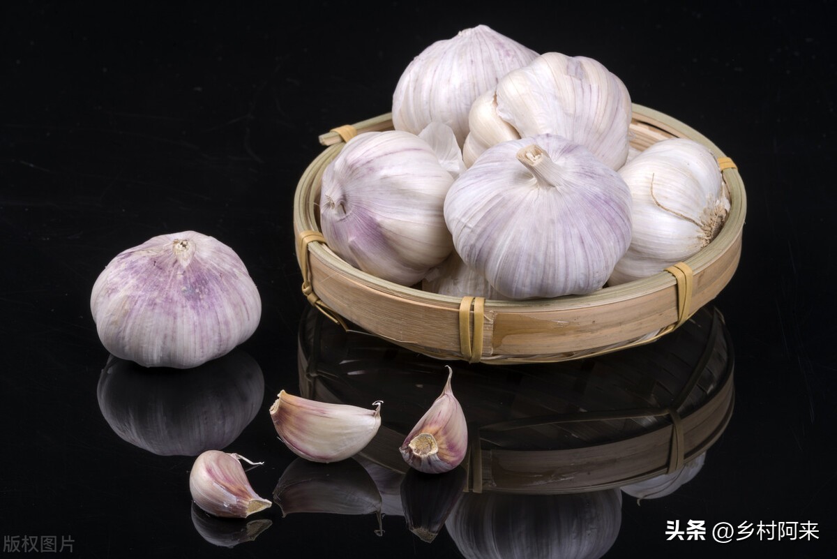 葱姜蒜如何保存时间长,家庭葱姜蒜最佳保存方法