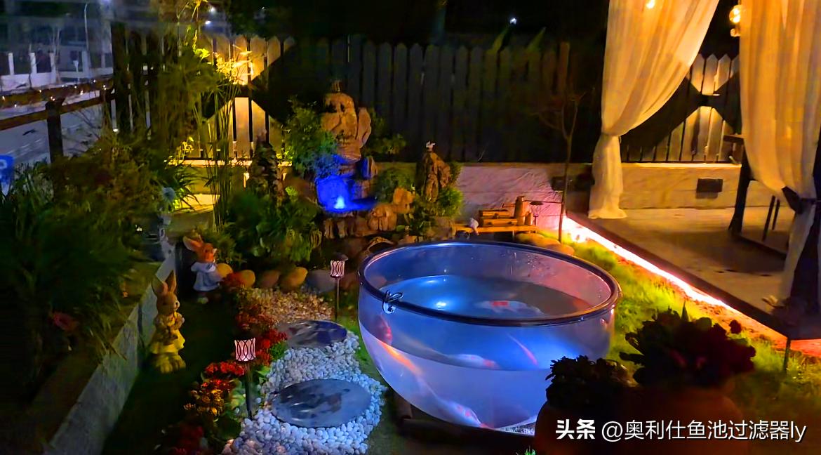 锦鲤鱼池该不该清除藻类,锦鲤鱼池绿藻多还用不用em菌