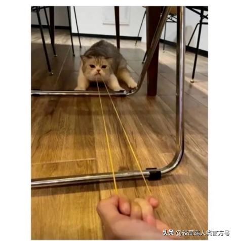 世卫组织说电饭煲致癌是真是假,世卫组织呼吁停止使用电饭锅