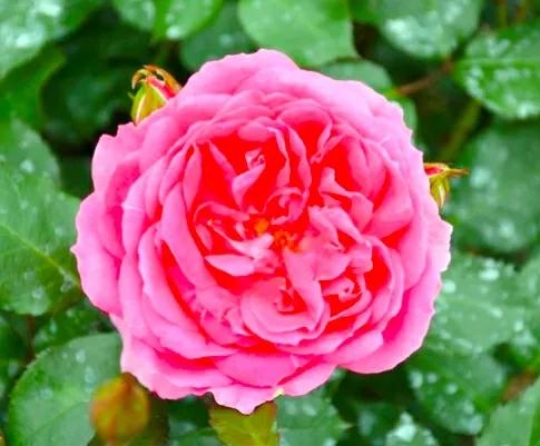 友友们千万别在评论区或私信留言“互”“关”等敏感词，会被扣分