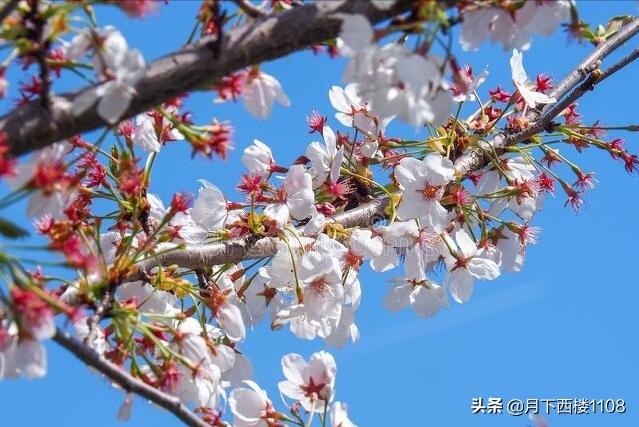 常宁的抗战历史,常宁抗战历史