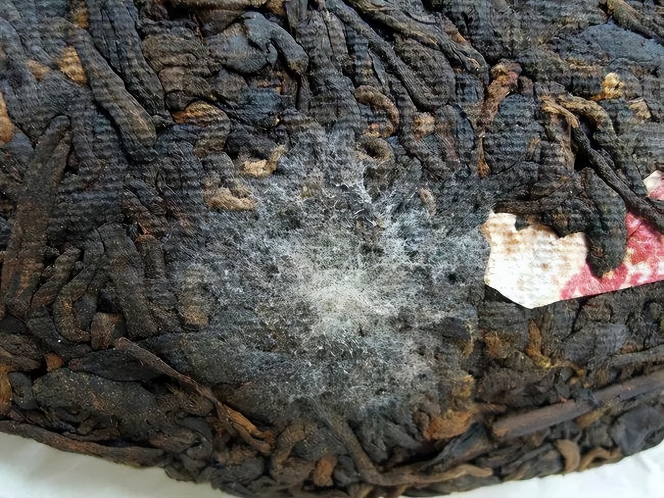 最老的一饼普洱茶,广东60岁大叔