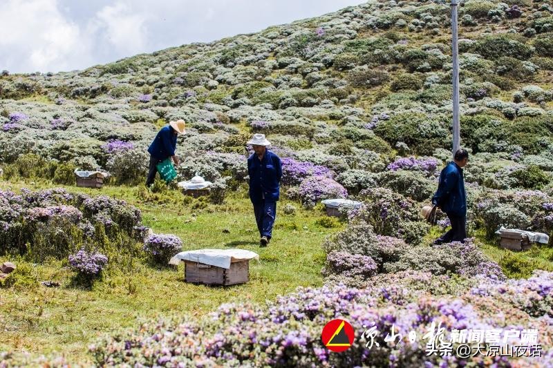 90后夫妻的创业之路视频,酿出甜蜜致富路