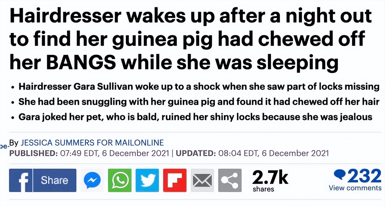 加拿大妈妈发现儿子头发莫名“越留越短”，居然是被家里豚鼠啃得