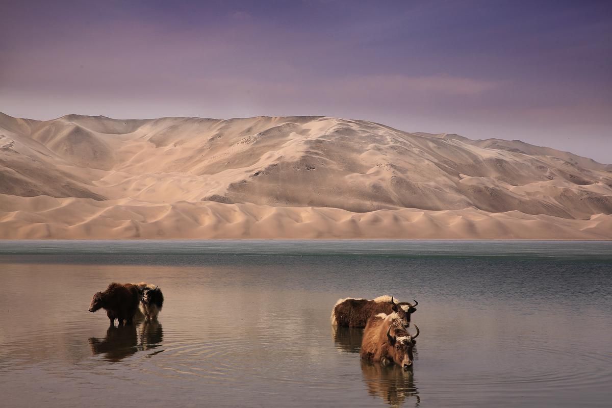 十大古诗词名句大全,古诗词经典唯美名句加解读