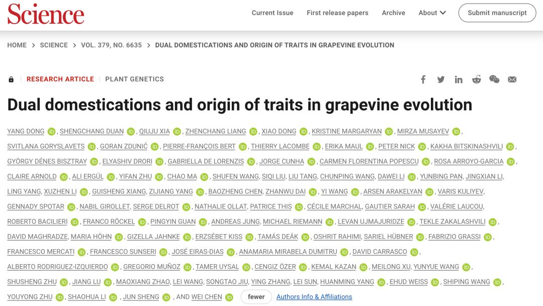 葡萄的起源和由来,葡萄起源与传播研究报告