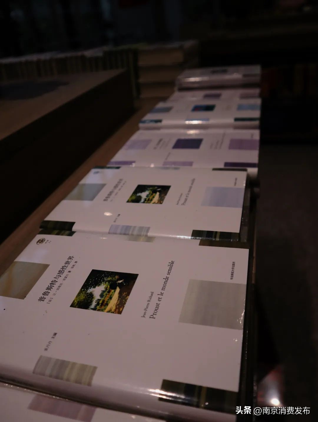 南京citywalk指南,南京12月份citywalk