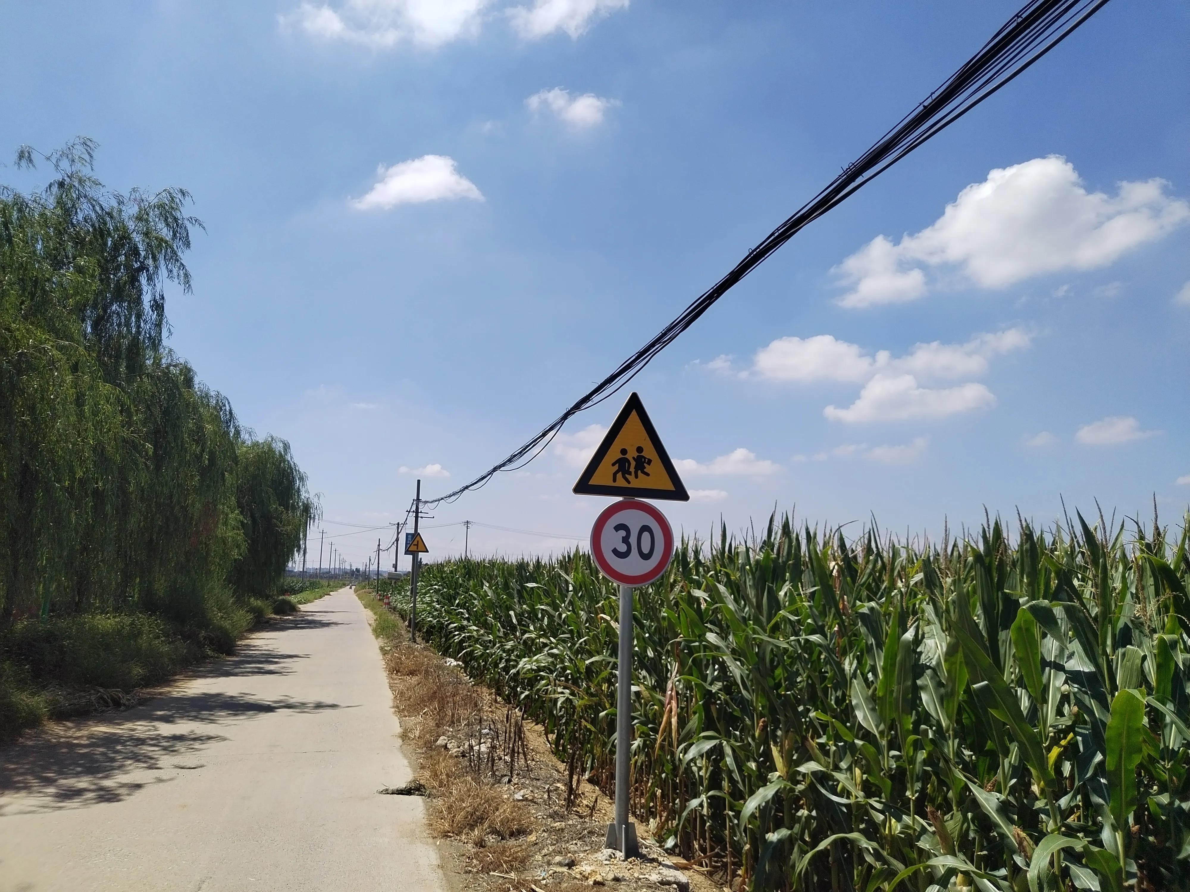 这半推半就的人生怎么过,我们半推半就的人生怎么过啊