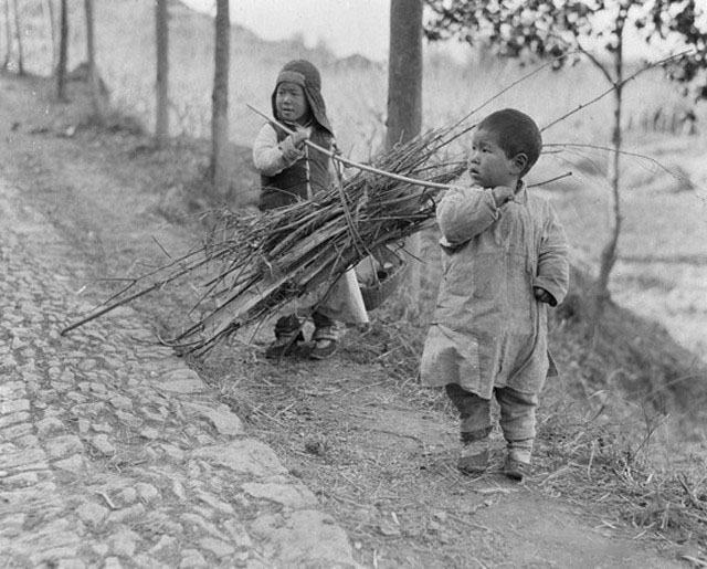 匪首获死刑后献出秘方，被改判当上政协委员，药物今成广西名片