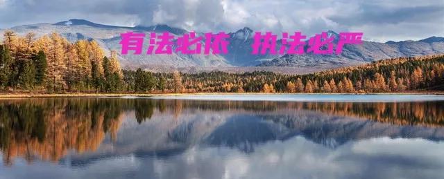 浏阳廖主任待遇,廖主任的刑事处罚