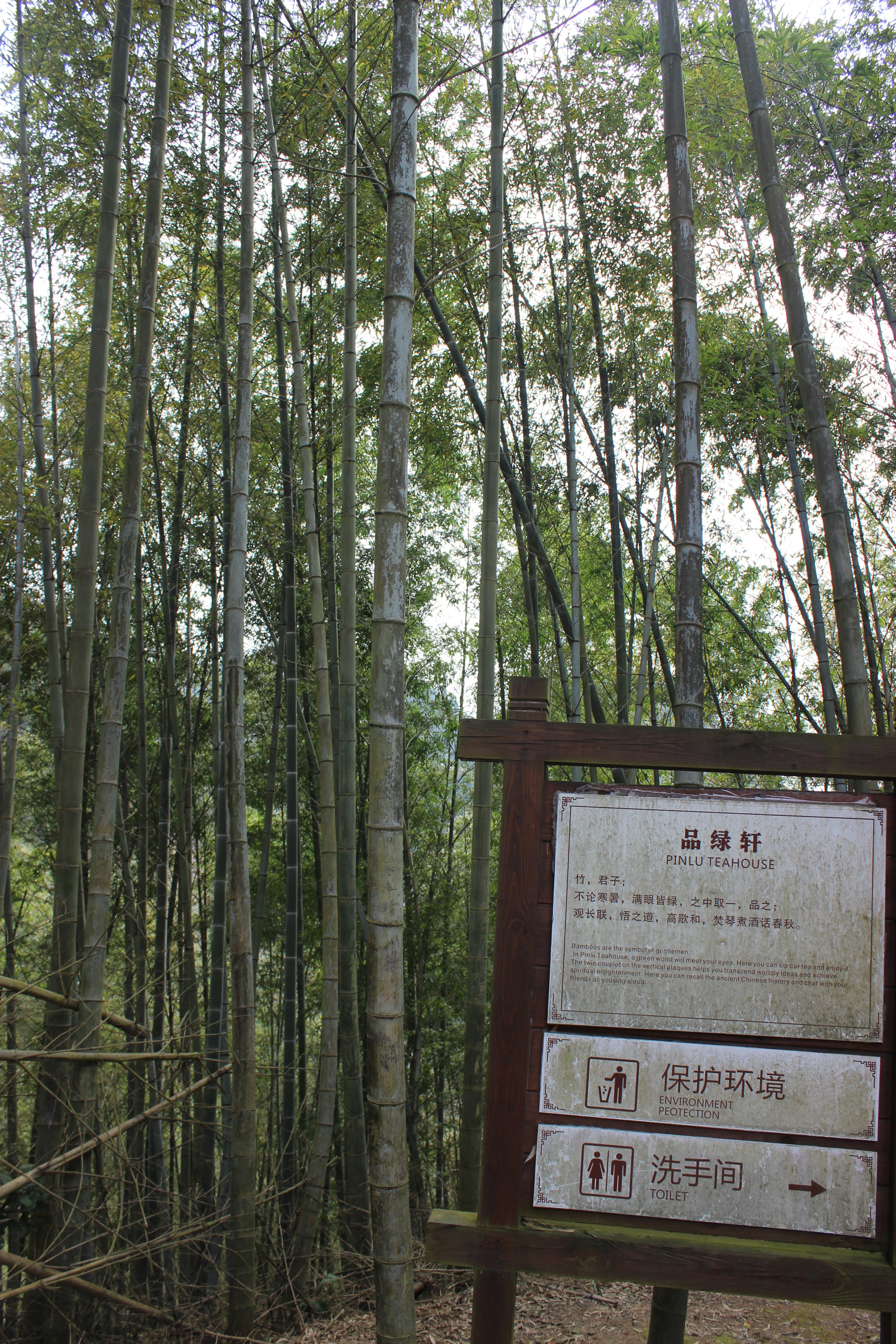 赣州周末出游攻略,春节赣州出发2-3天短途旅游