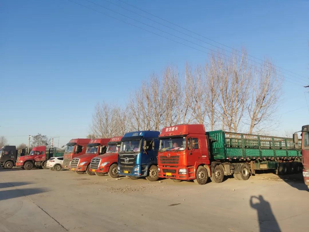 2020跑货车挣钱吗,2021跑挂车运输利润怎么样