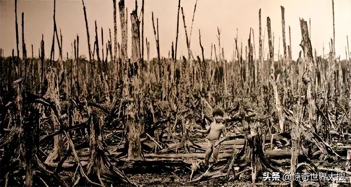 十五个令人震撼的事实,118个令人难以置信的事实