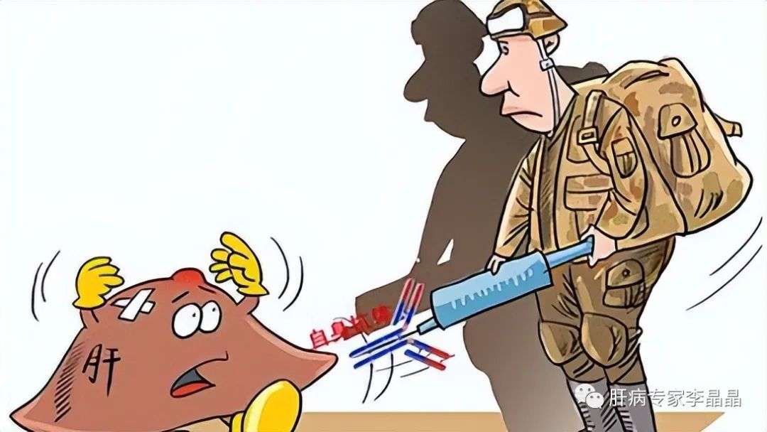 自免肝在中医叫什么病,得了自免肝如何饮食