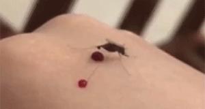 你猜我说话算话吗搞笑图片,你猜啊搞笑图片