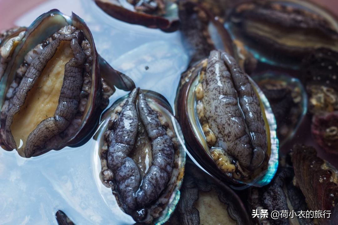 为什么干鲍比鲜鲍鱼好,为什么存黄金可以保值