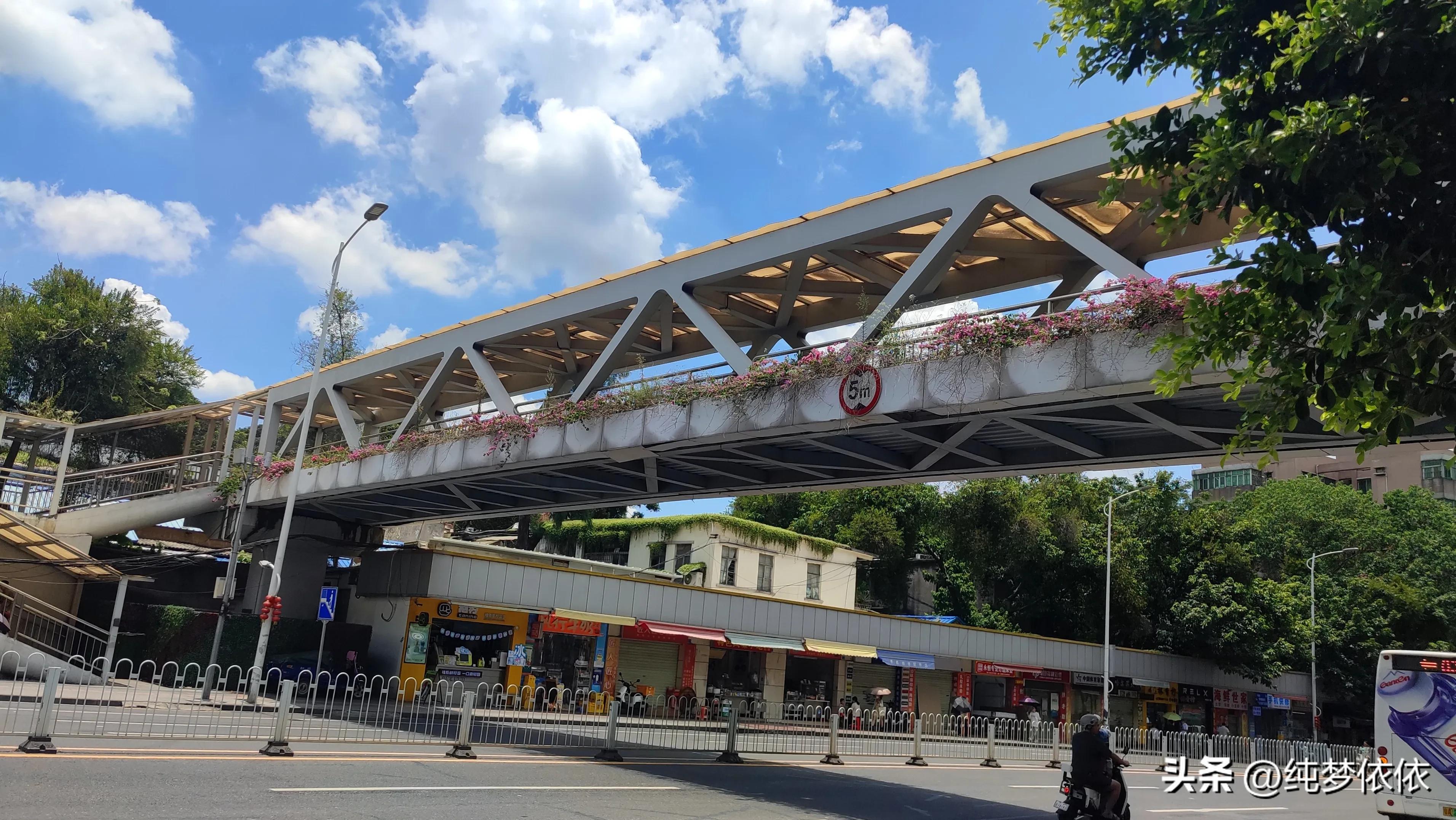 夏天随手一拍就是最好的画面,这张照片勾起了夏天的美好时光