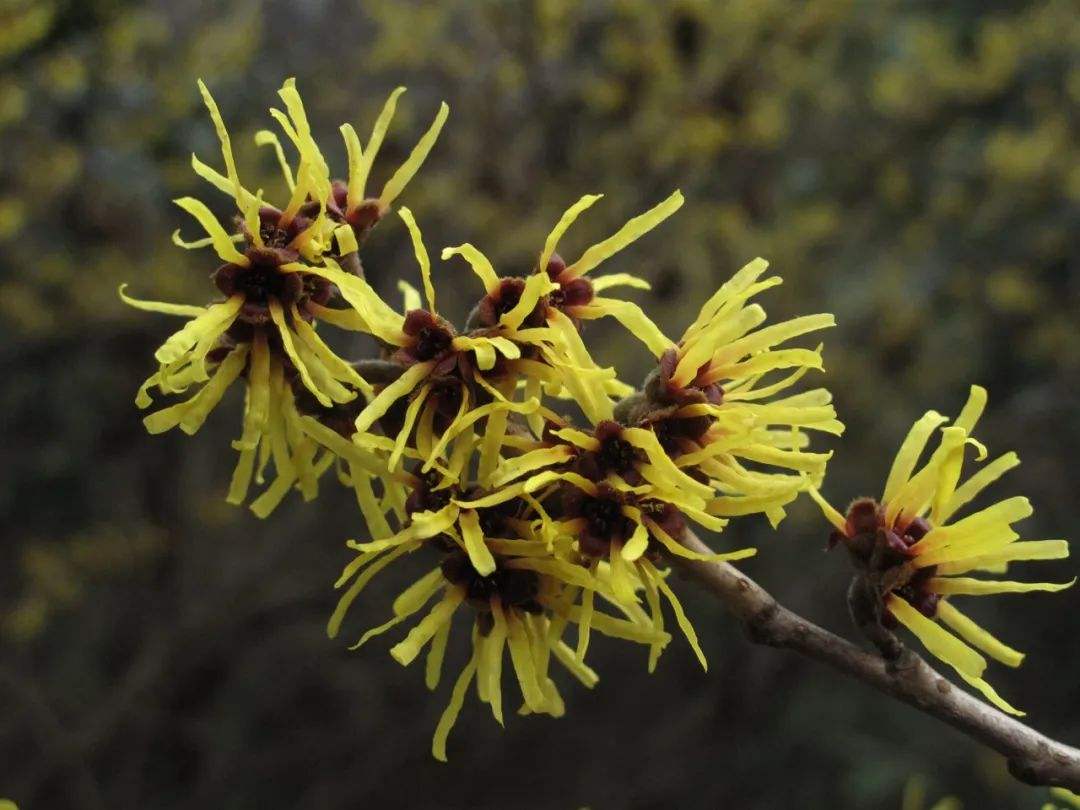 脸上生疮怎么护肤,脸上生疮的最佳治疗方法