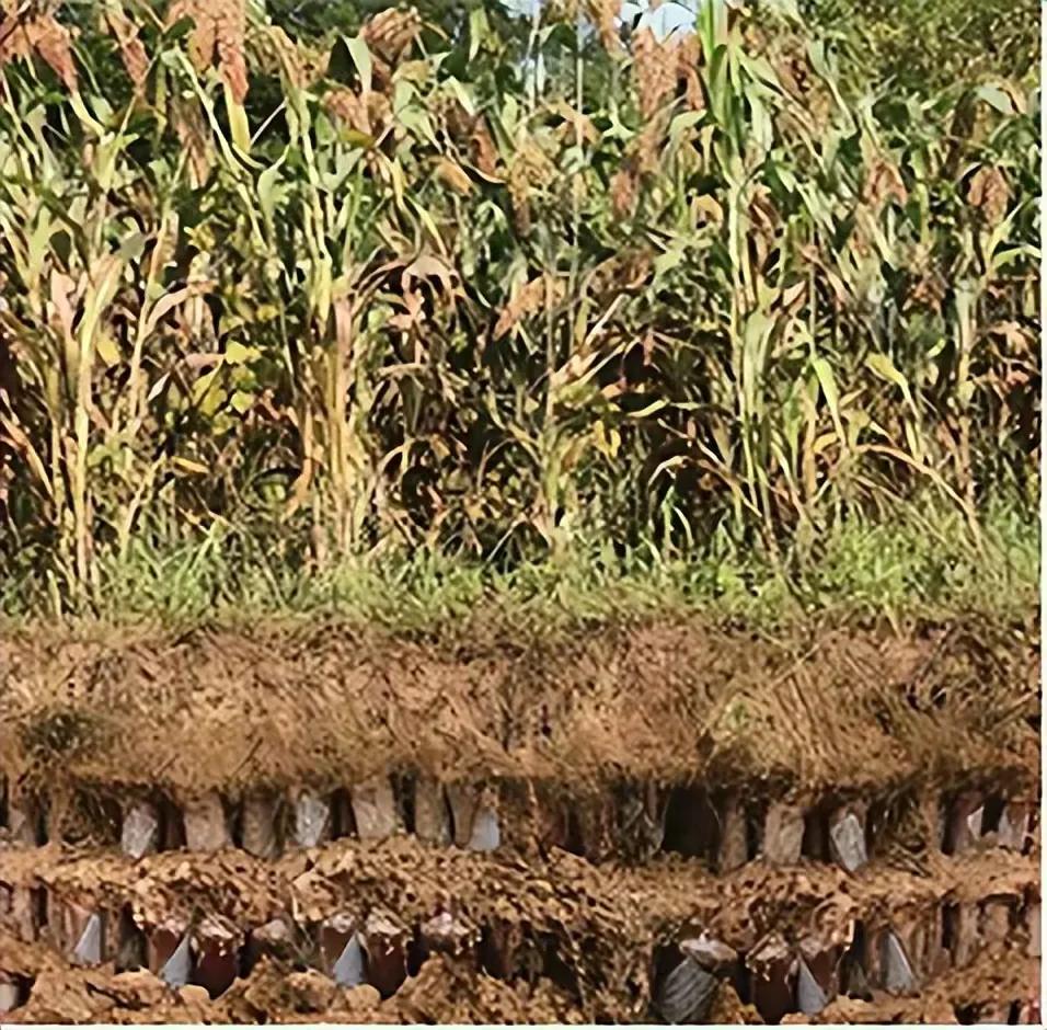 97年赖茅酒庆香港回归特制2斤,97香港回归赖茅酒能喝吗