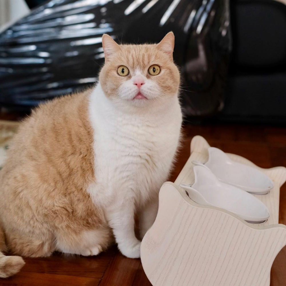 一篇文章搞懂,一篇文章让你彻底搞懂宏观