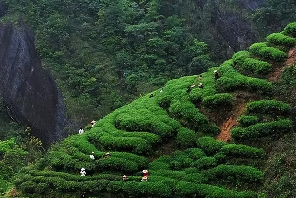 中秋节有新意的礼品,正宗的中秋节礼品推荐