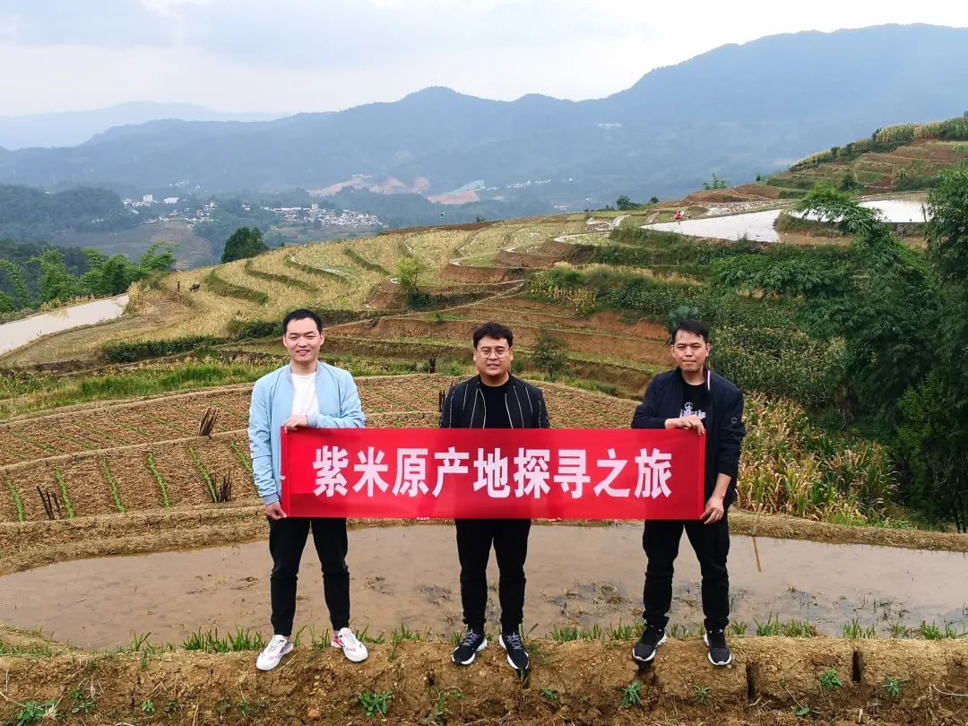 学校开连锁奶茶店,在学校开一家奶茶店赚钱吗