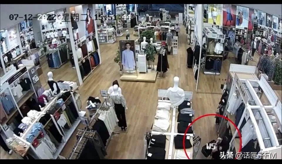 女白领被抓,女子九次盗窃被抓