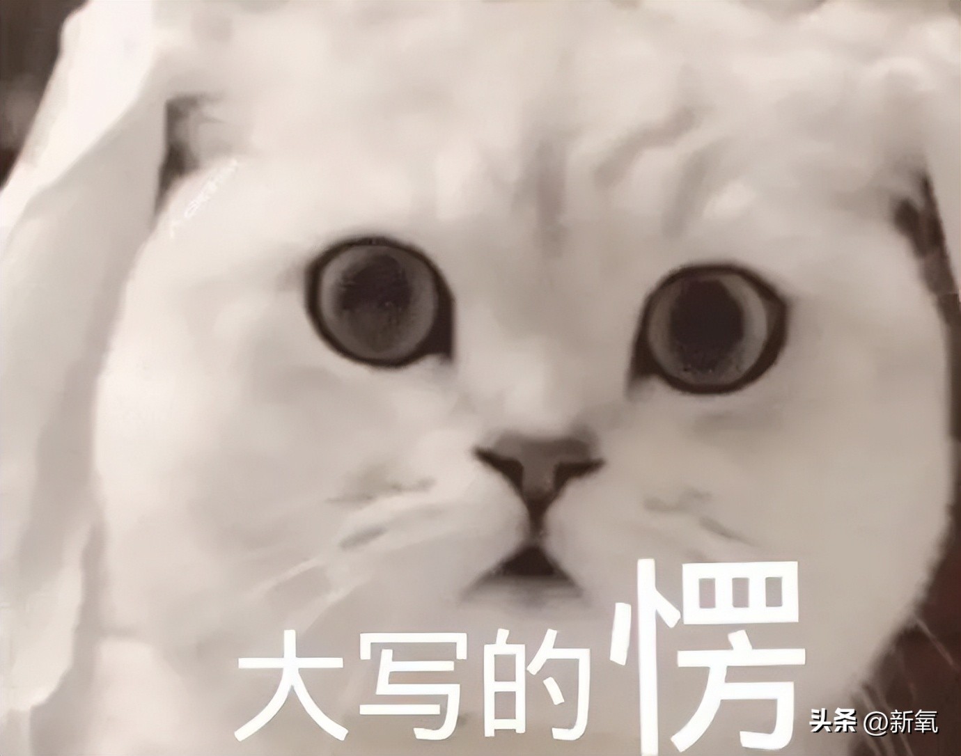 旺旺集团二公子身价,旺旺家二公子