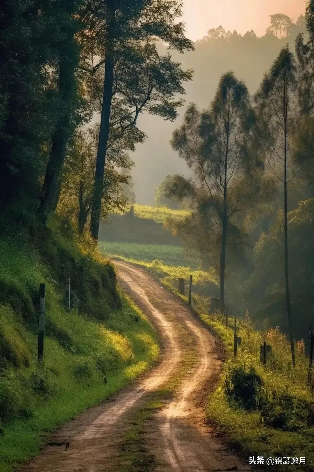 乡村田园风光图片,田园风光风景图片
