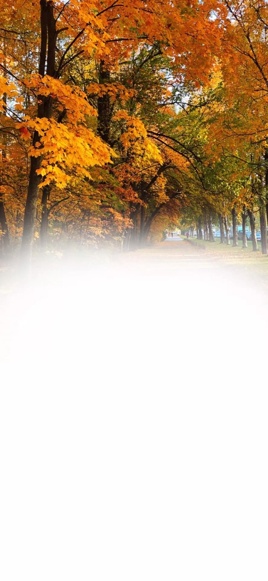 微信聊天背景图片,微信聊天背景图ins风