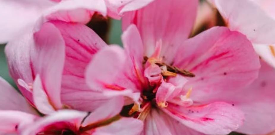 2021年浙江杭州十大新闻公关事件