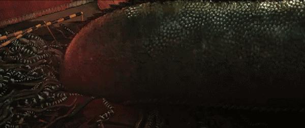 当年人蛇大战电影用了多少蛇 (人蛇大战最新一期)