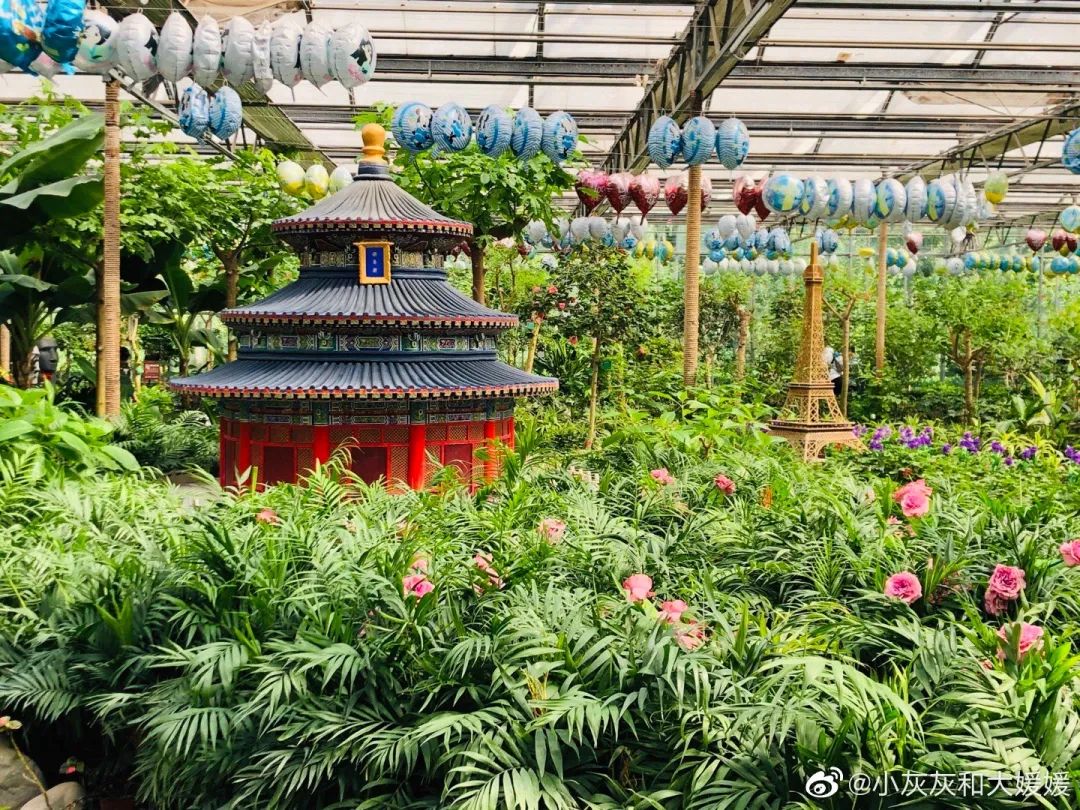 北京植物园的赏花的最好时节,西山秘境惊艳北京的植物
