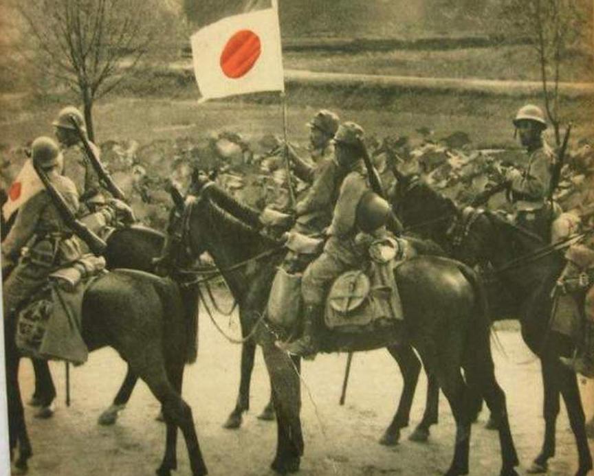 日本近百年战马改良,日本战马改良史