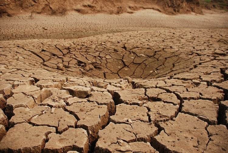 猫咪终究没能避开越南人的屠刀，越南人日食上万只猫，为啥爱吃猫