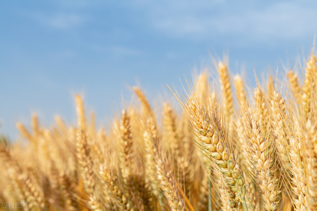 肺癌晚期全身出汗又冷怎么回事,肺癌患者老是出汗是怎么回事