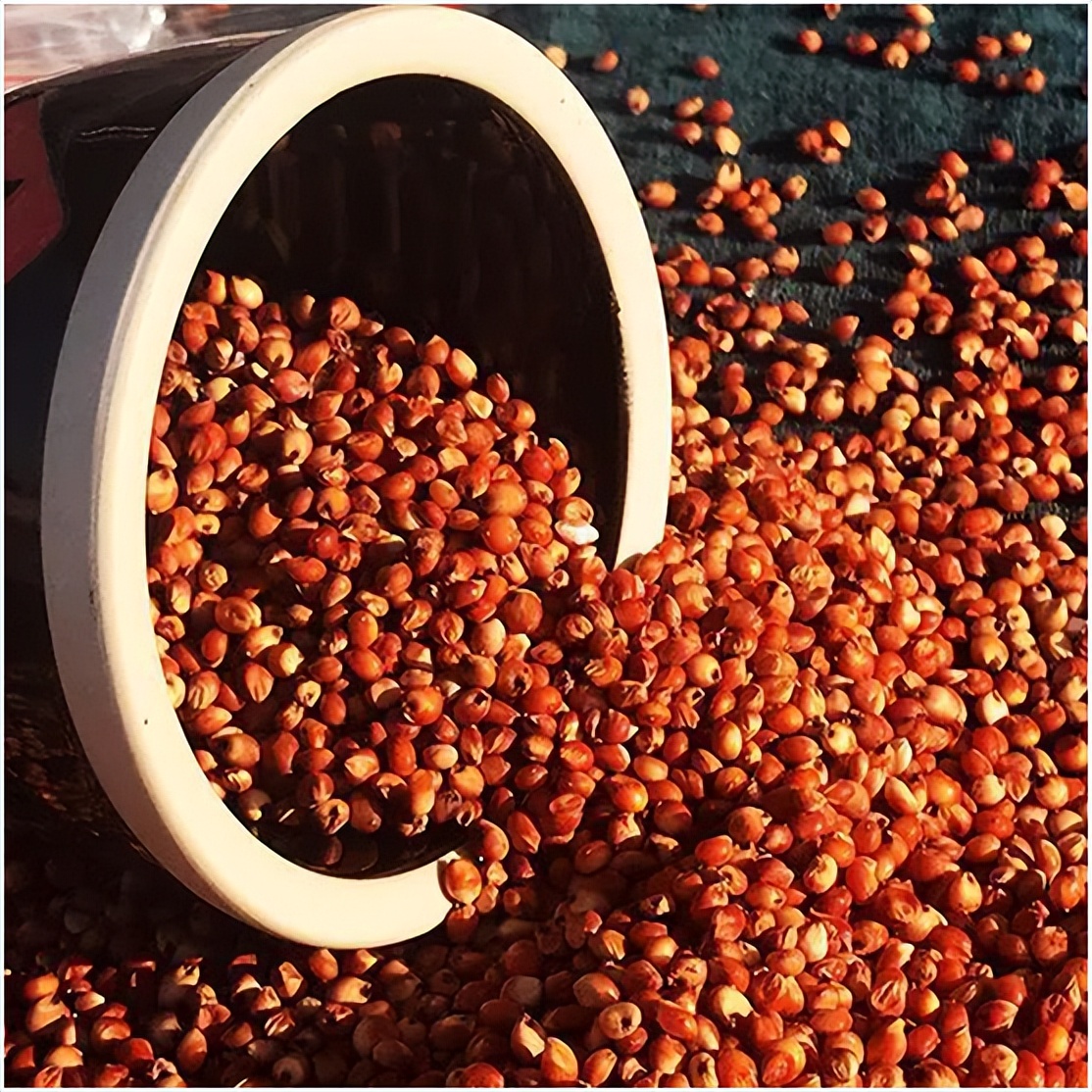 朋友叔叔花45元收9个酒瓶，转天卖到天价！而专家却说：亏大了！